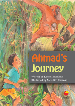 Ahmad's Journey
