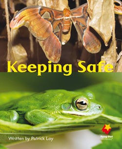 Keeping Safe