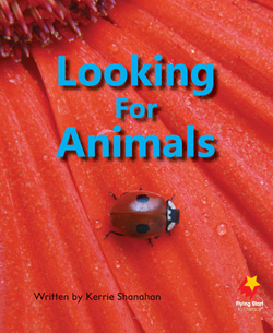 Looking for Animals