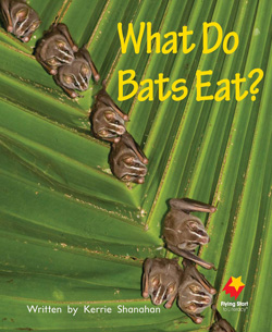 What Do Bats Eat?