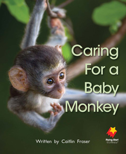 Caring For A Baby Monkey